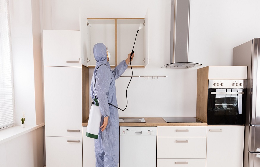 Tips to Find the Appropriate Pest Control Agency in Werribee