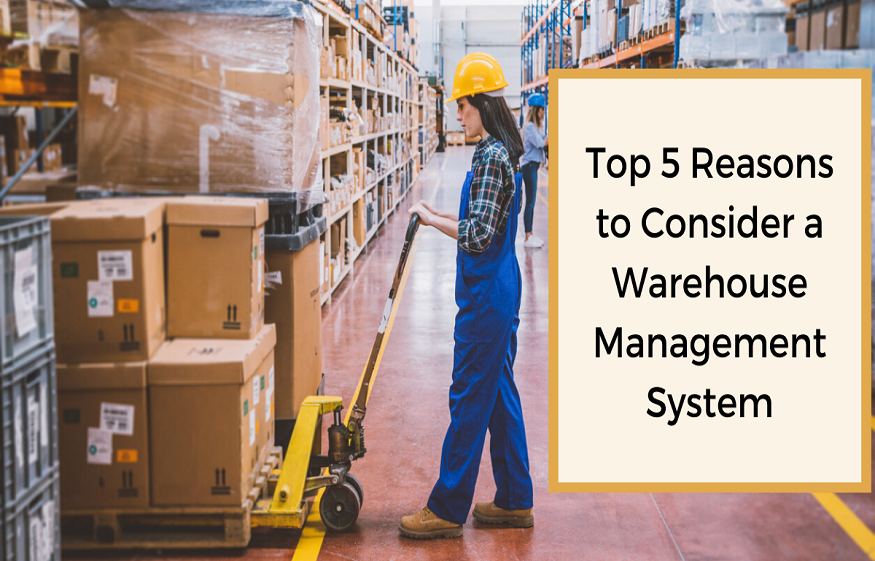 5 Things You Need To Do To Keep Your Warehouse Organized