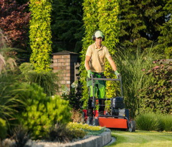 lawn care service
